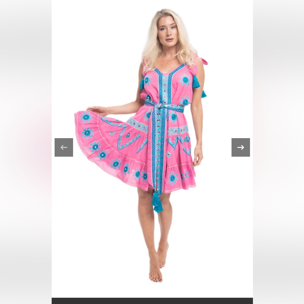 Pranella Arri dress. Worn about 4x . Retail 300